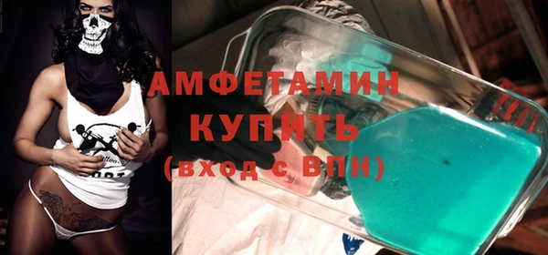 сатива Балахна