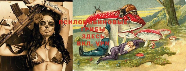 дживик Баксан