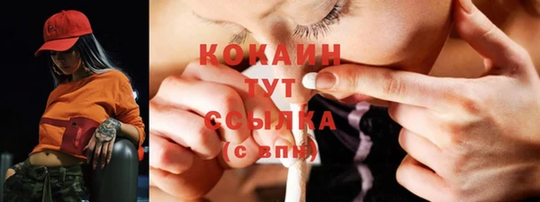 сатива Балахна
