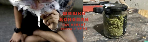 PSILOCYBIN Балабаново