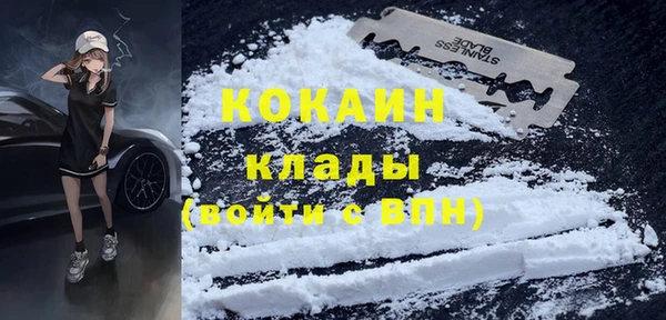 сатива Балахна