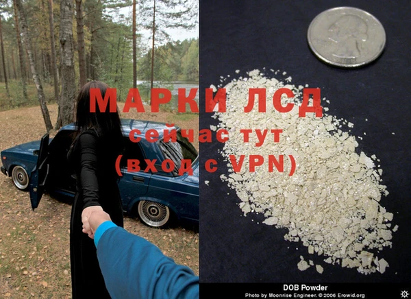 сатива Балахна