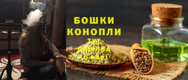 PSILOCYBIN Балабаново
